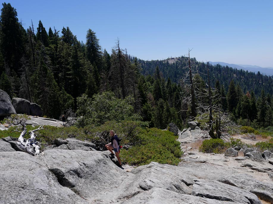 beetle rock sequoia nationalpark mit kindern