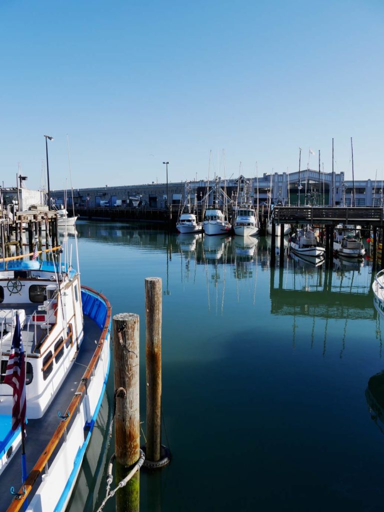 segelboote-im-fishermans-wharf-in-san-francisco-blau-schimmerndes-wasser-mit-wolkenfreiem-Himmel