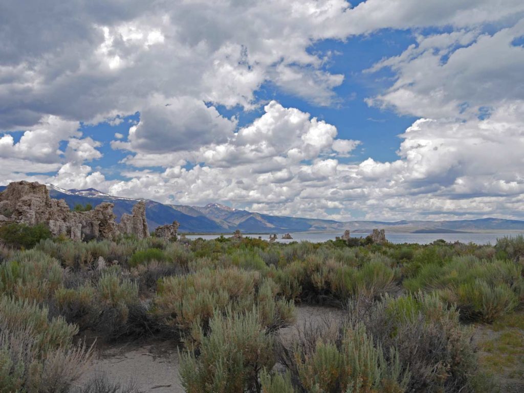 roadtrip tioga pass mono lake mit kindern 1