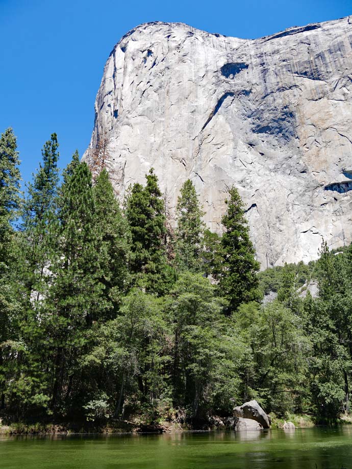 granitfels-hinter-nadelbaeumen-an-fluss