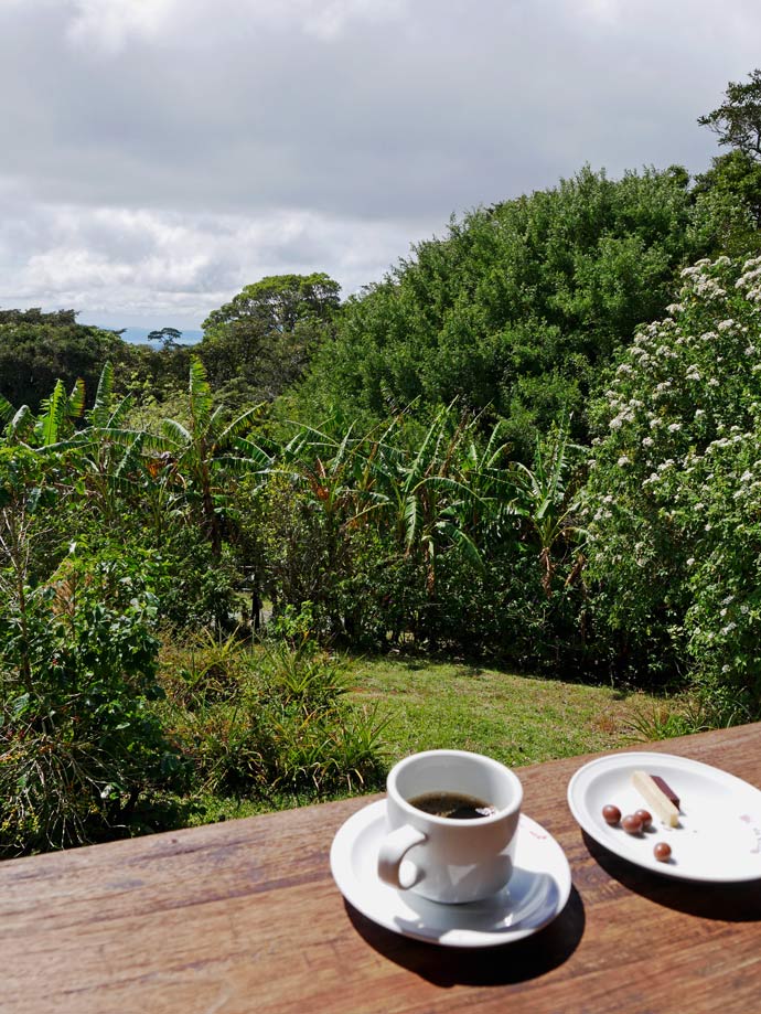 kaffeetour-don-juan-mit-kindern-monteverde-costa-rica