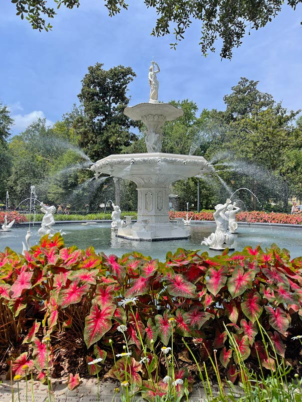 romantischer-brunnen-im-forsyth-park-in-savannah