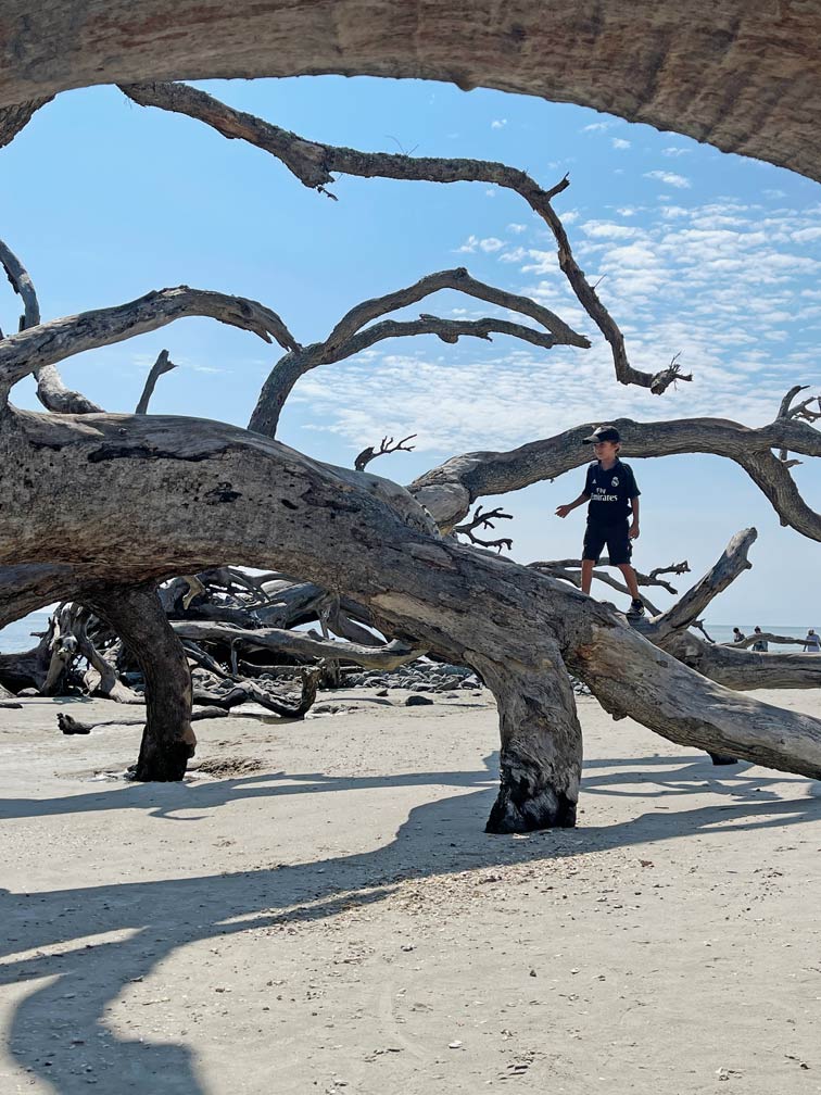 kind-klettert-ueber.driftwood-am-strand