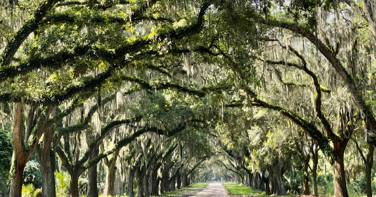 Du betrachtest gerade Savannah Sehenswürdigkeiten – Tipps für die zauberhafte Stadt in Georgia