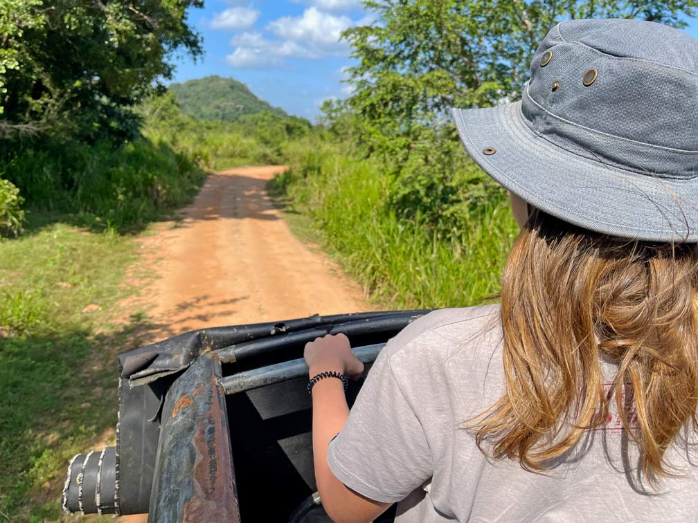 kind-steht-im-offenen-jeep-bei-einer-elefanten-safari