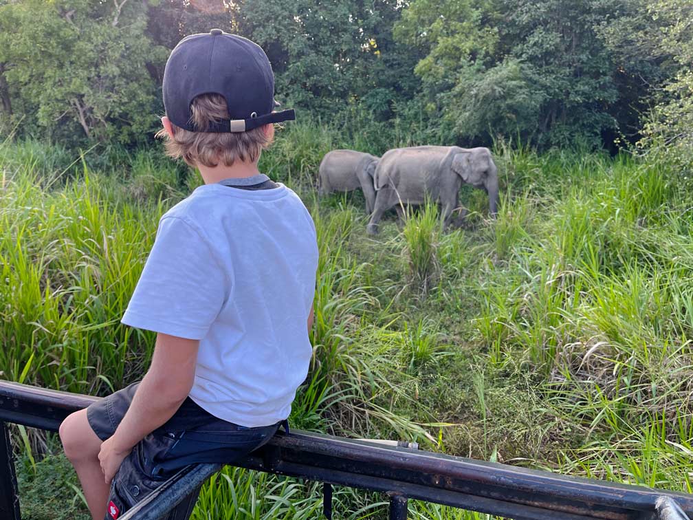 kind-sitzt-im-offenen-jepp-und-beobachtet-freilebenden-elefanten-in-sri-lanka