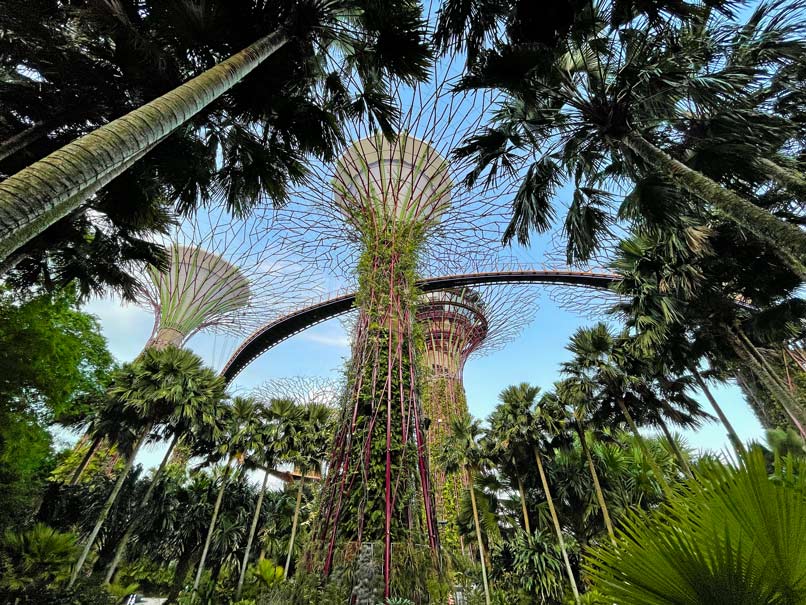 gardens-by-the-bay-supertrees-singapur-sehenswuerdigkeiten