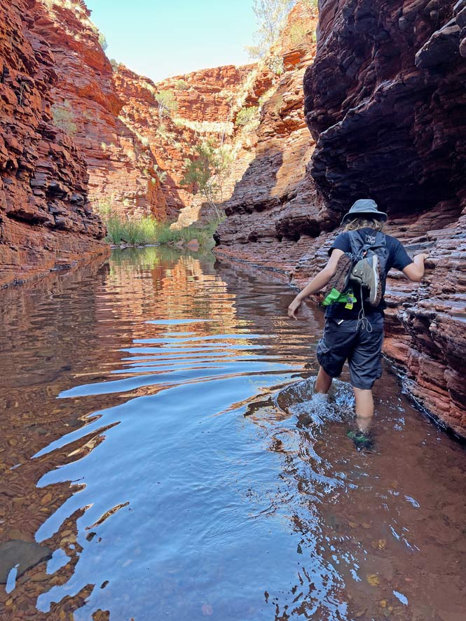 kind-wandert-durch-wassergefuellte-schlucht-im-roten-sandstein-canyon-in-westaustralien