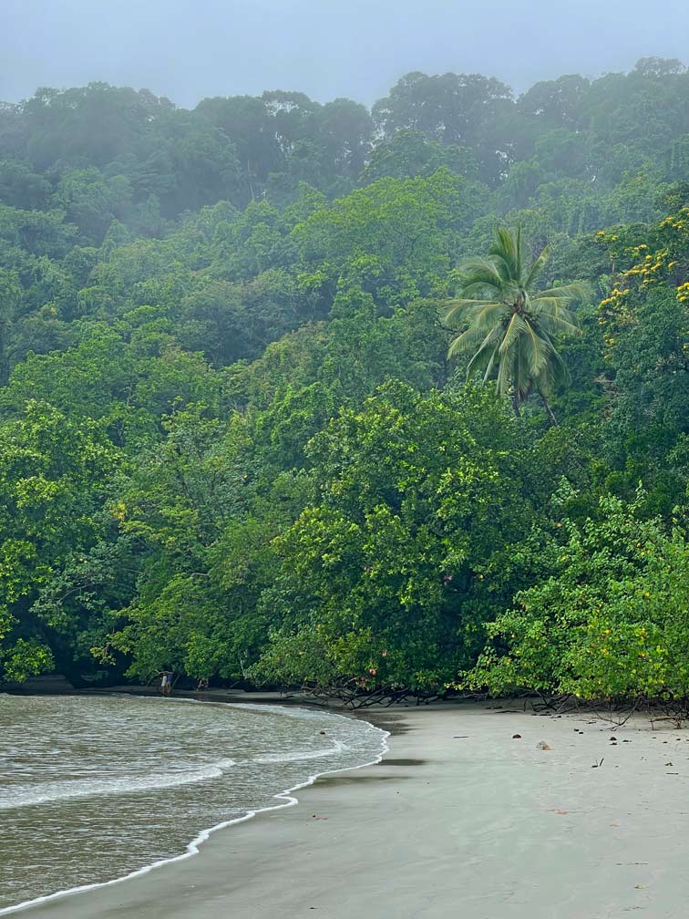 daintree-nationalpark-reisetipps-sehenswuerdigkeiten