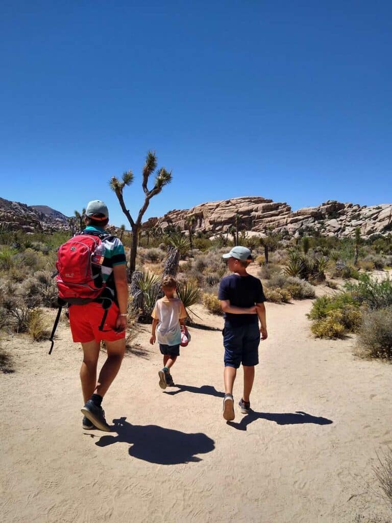 joshua-tree-mit-kindern-kalifornien-urlaub