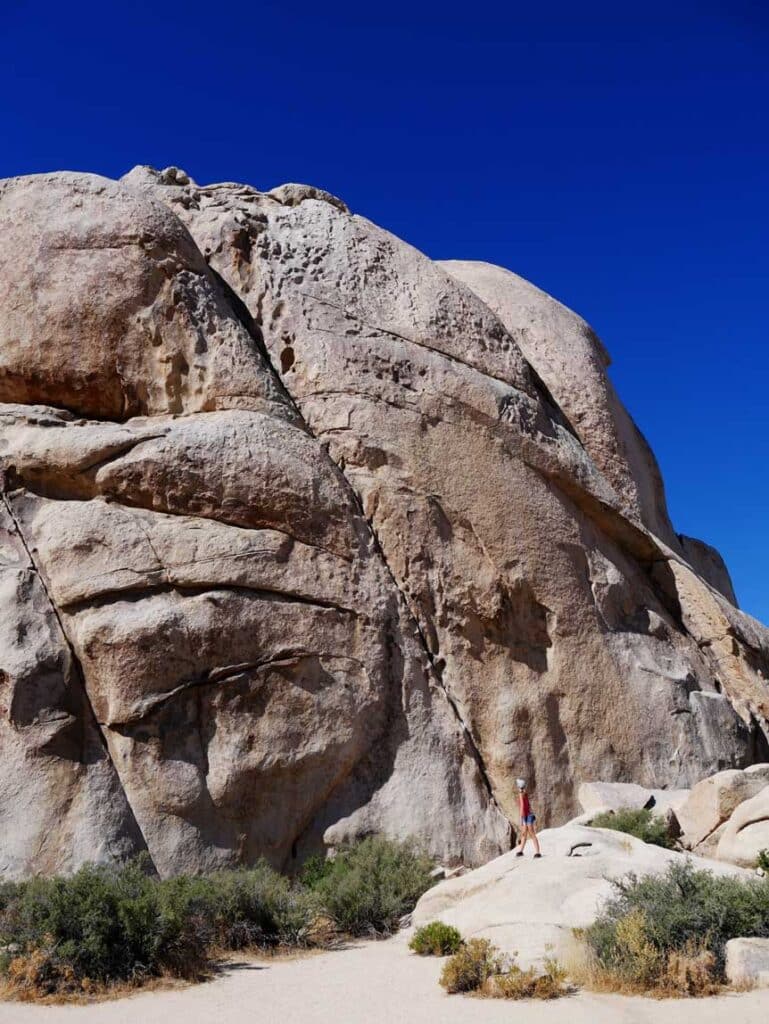 frau-steht-winzig-wirkend-neben-einem-gigantisch-hohem-stein-bei-blauem-himmel-im-joshua-tree