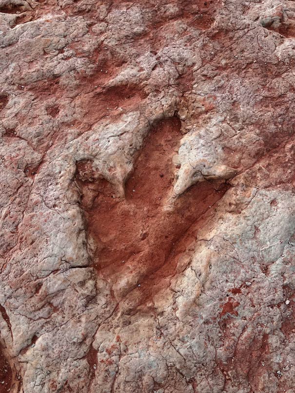 dinospuren-in-rotem-stein-auf-navajo-land