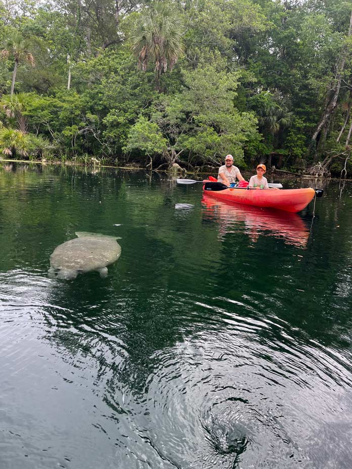 kajak-tour-manatee-seekuehe-highlights-florida-mit-kindern