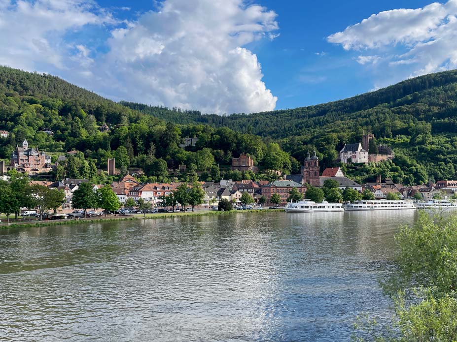 main-mit-flusskreuzfahrtschiffen-und-altstadt