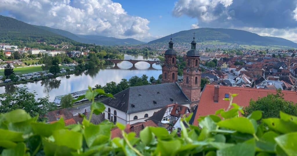 blick-auf-main-und-altstadt-miltenberg-mit-zwei-kirchtuermen