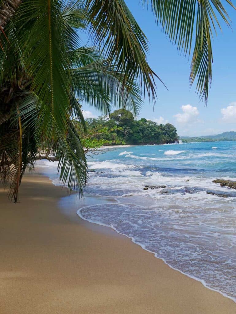 palmenstrand-costa-rica
