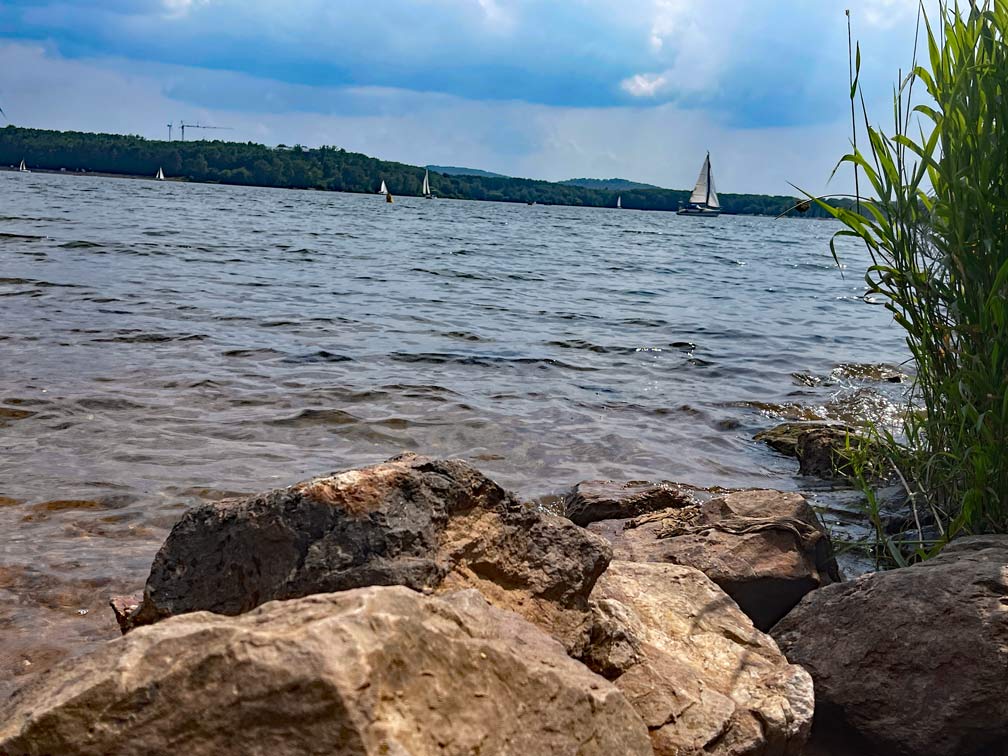 blick-ueber-steine-am-ufer-neben-schilf-auf-bostalsee-mit-segelboot