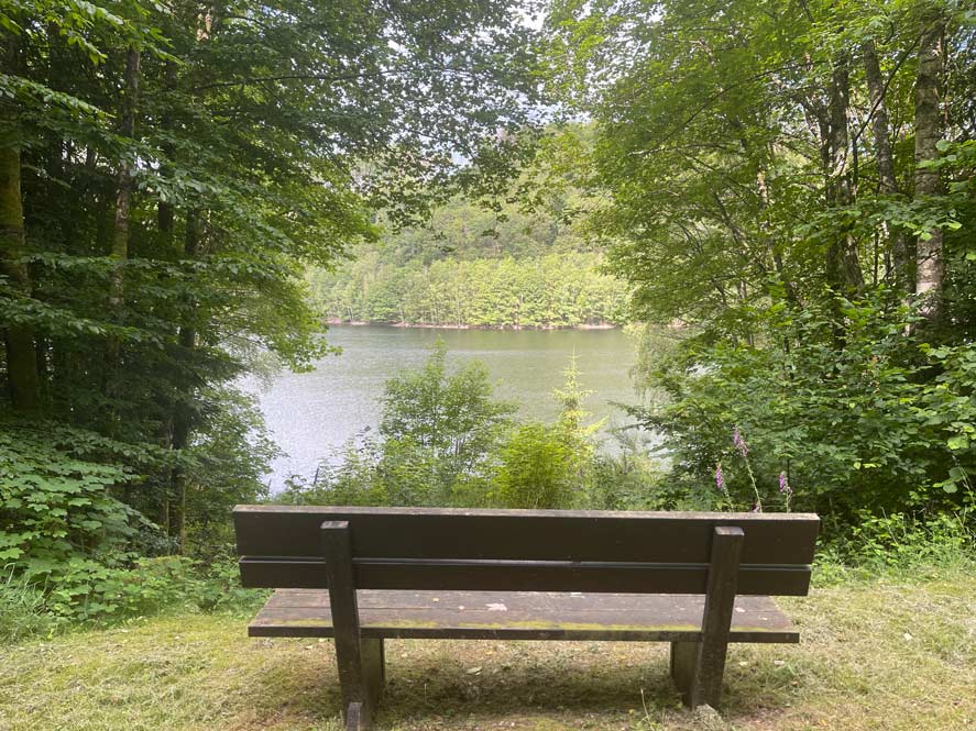 bank-in-gruener-umgebung-mit-blick-auf-stausee