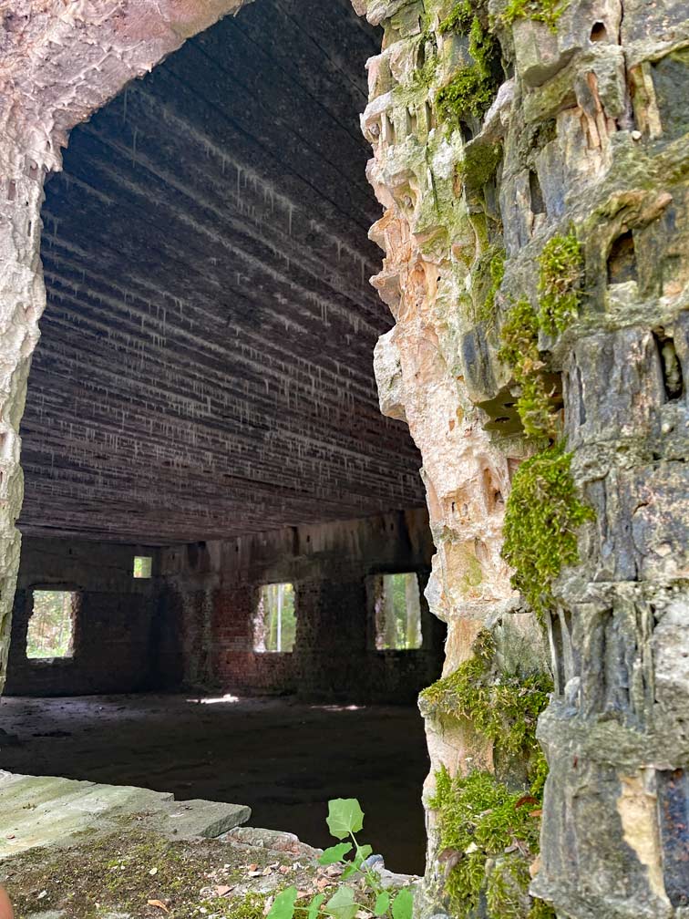 ruinen-der-gebäude-wolfsschanze