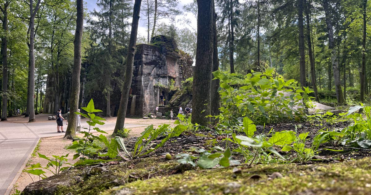 Du betrachtest gerade Auf den Spuren der Geschichte: Die Wolfsschanze und weitere beeindruckende Orte in Masuren