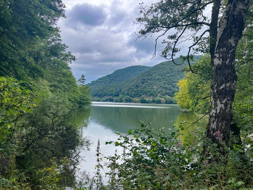 blick-durch-baeume-und-straeucher-auf-diemelsee-mit-huegeln-des-sauerlands-im-hintergrund