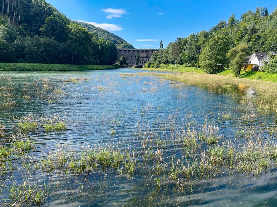 staugewaesser-am-diemelsee-zur-rechten-seite-flaches-ufer-rechts-huegeliger-wald-geradeaus-diemeltalsperre-in-entfernung