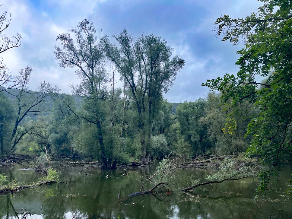 itterzufluss diemelsee wandern rundweg